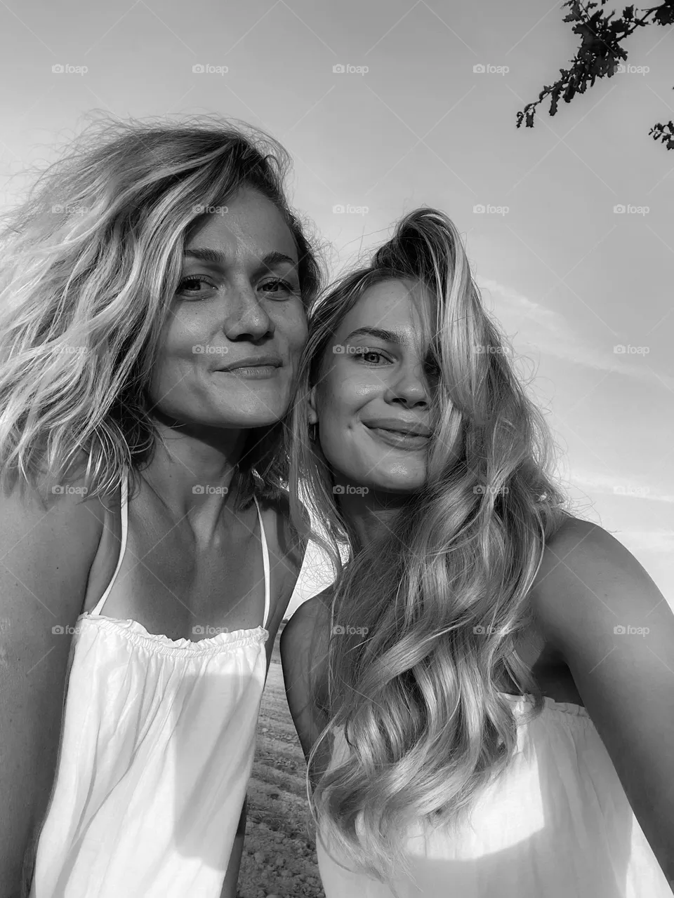 Friends 