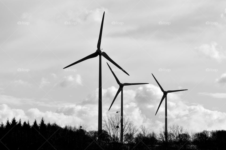 field of wind turbines over a forest in black and white