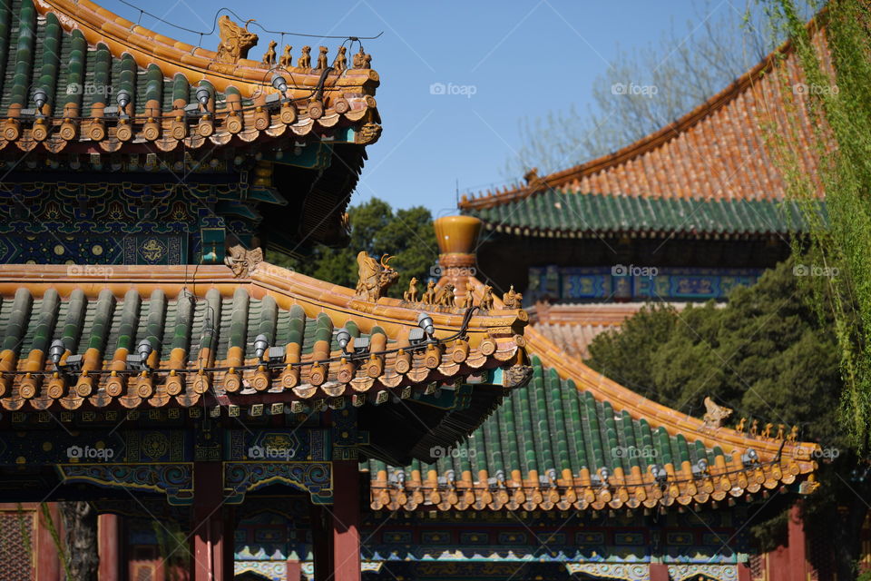 Asia China Beijing Houhai chinese temple in spring blue sky temple park chinese culture  temple rooftop