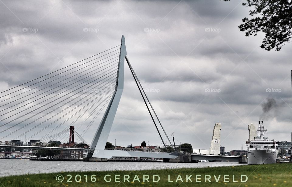 Erasmusbrug Rotterdam