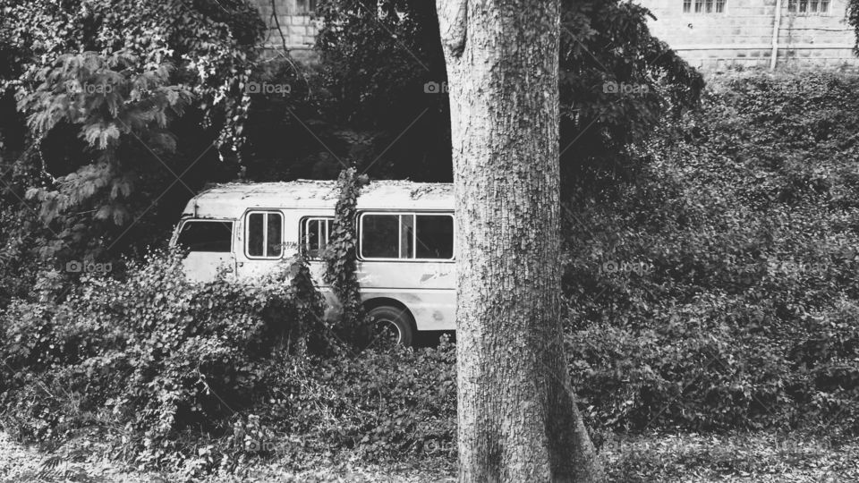 Forgotten camper van