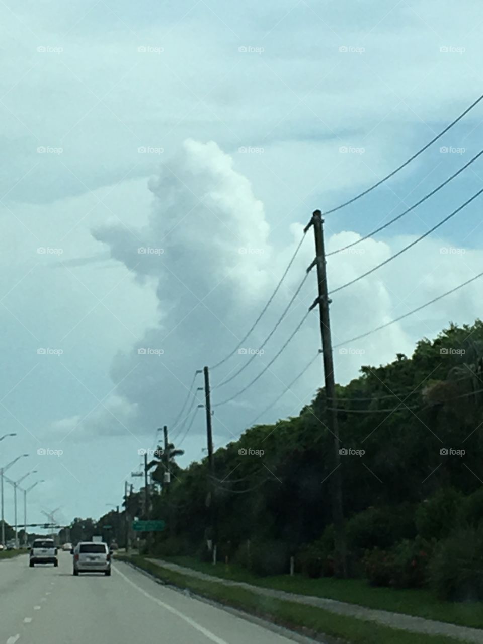 Poodle cloud 