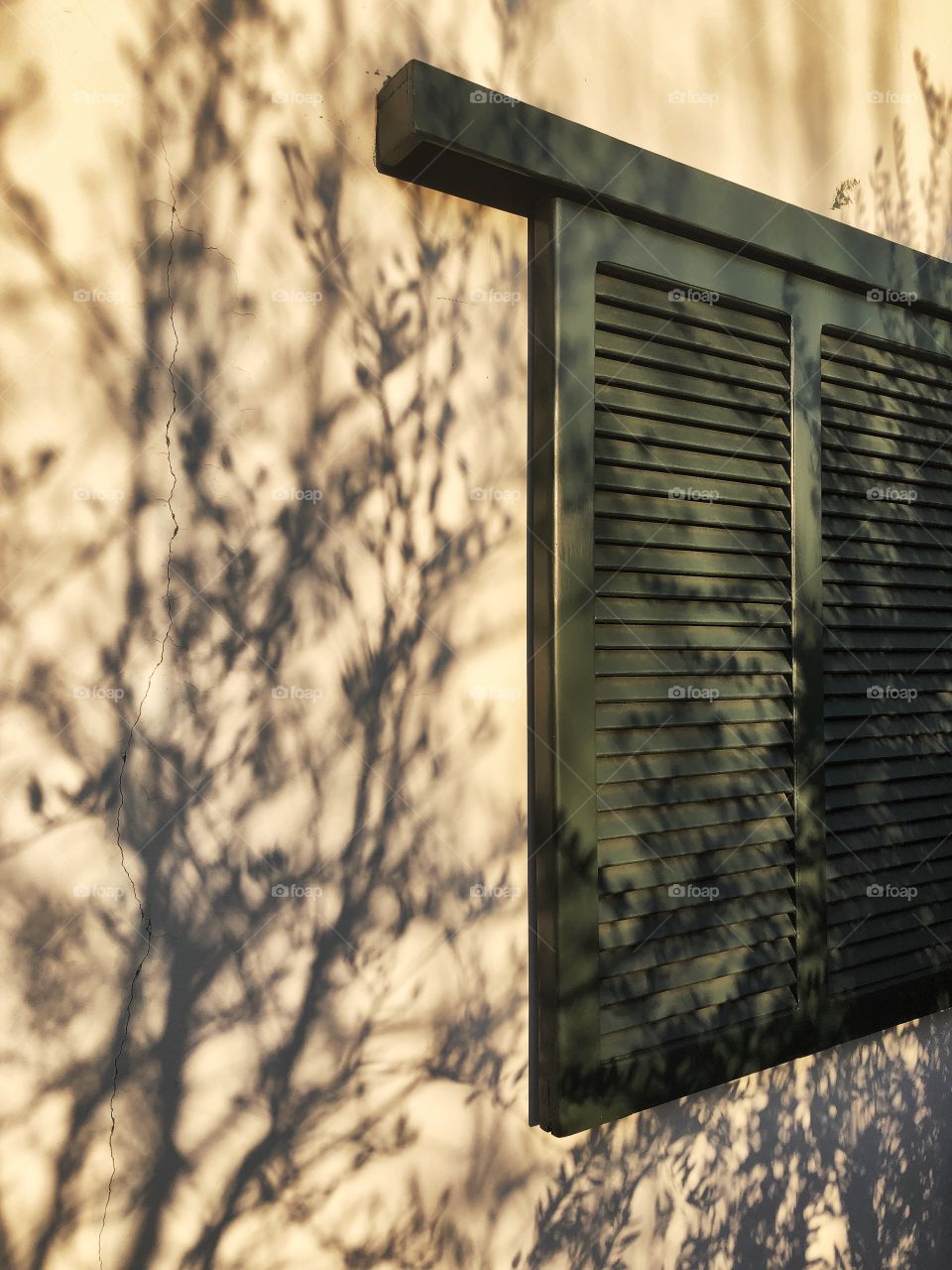 Shadow of trees on balcony wall with green window 