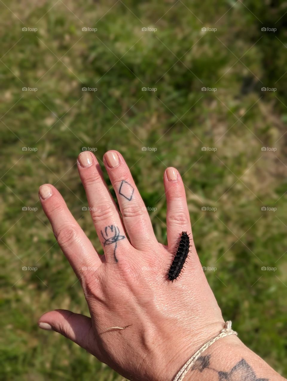 caterpillar crawling across my hand in state park river nature walk black caterpillar crawling on body tattooed fingers tattooed hands