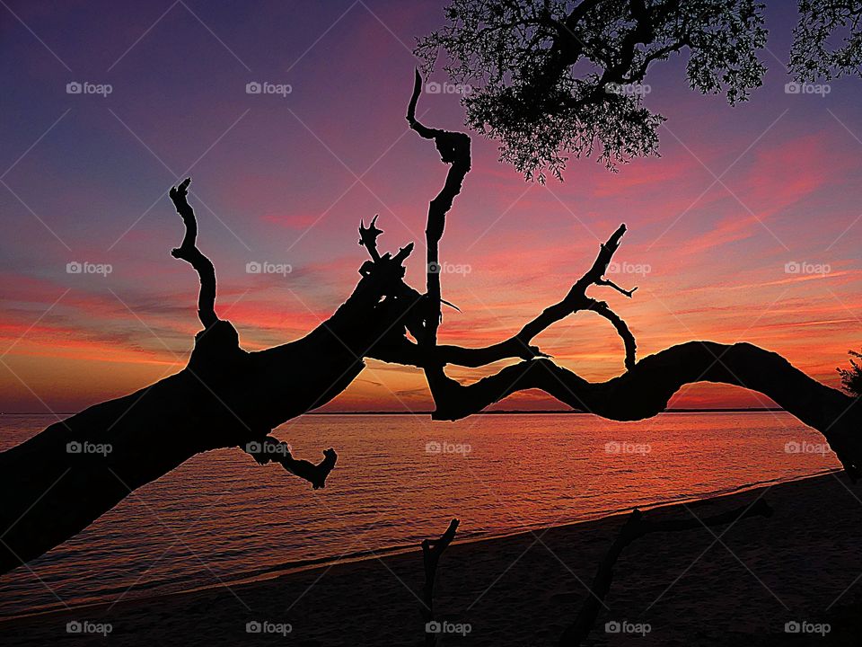 Sunset and silhouette over the spectacular colors reflected on the surface of the bay