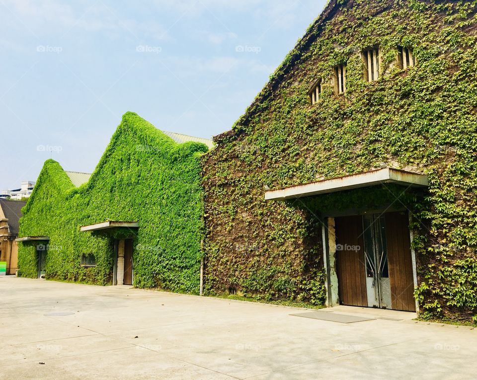 Green facade creative park in Taipei, Taiwan