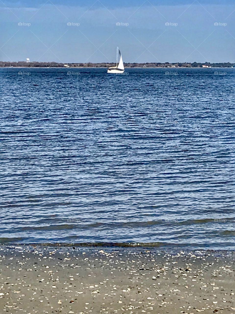 Sailboat in the Harbor