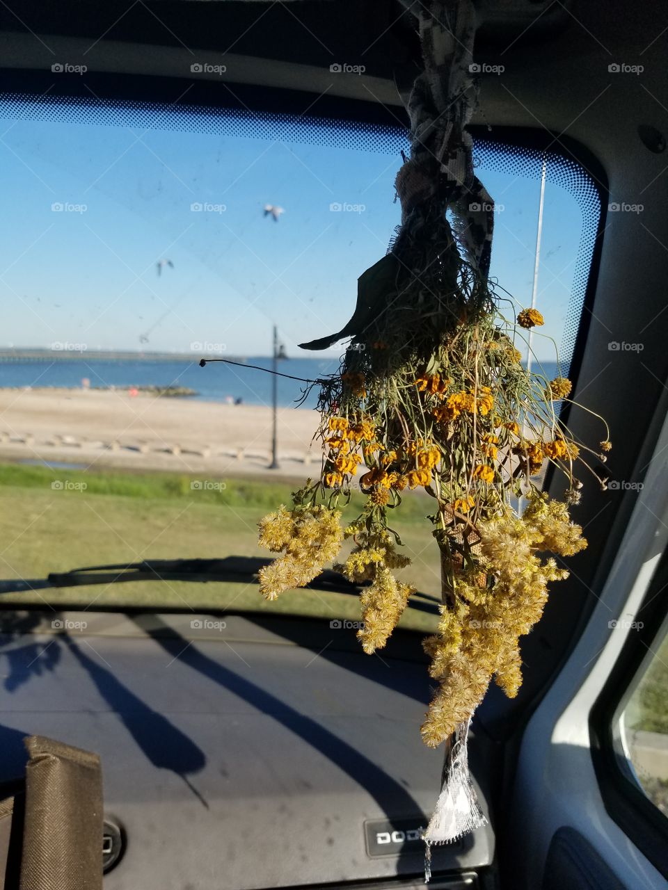 dried flowers hanging in a vehicle by the beach