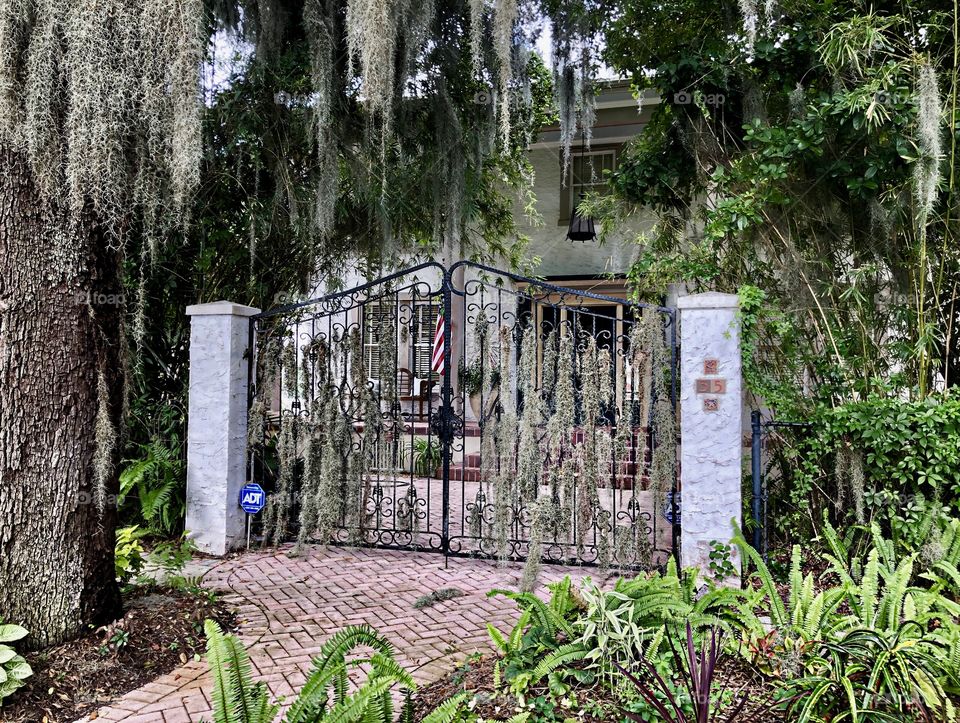 Spanish Moss Gate