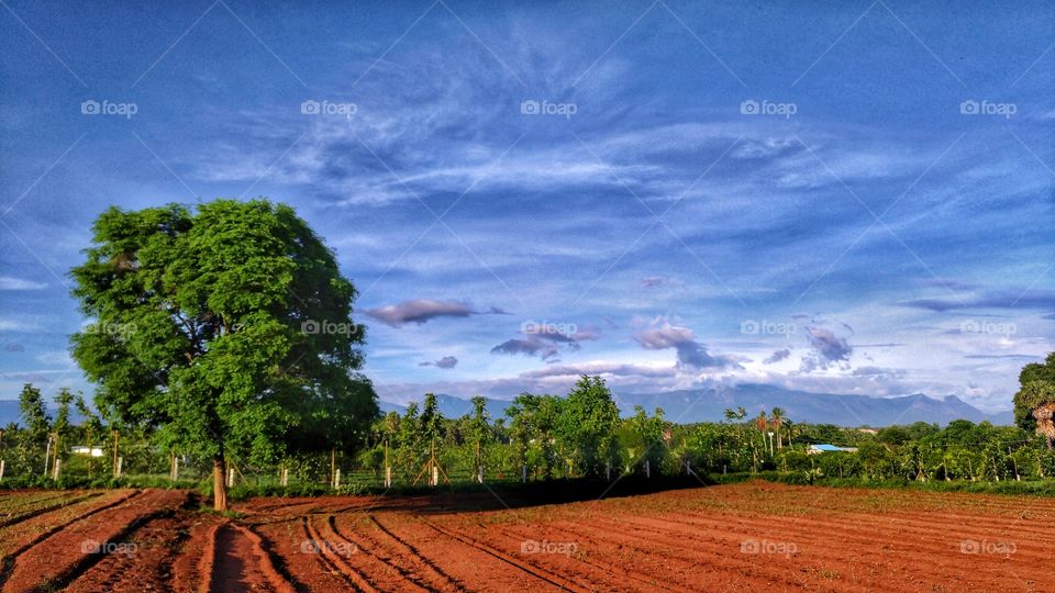 hdr landscape .. shot on asus zenfone 3