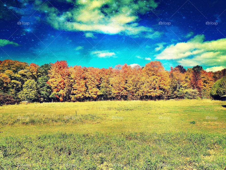 sky field pretty grass by somebeach