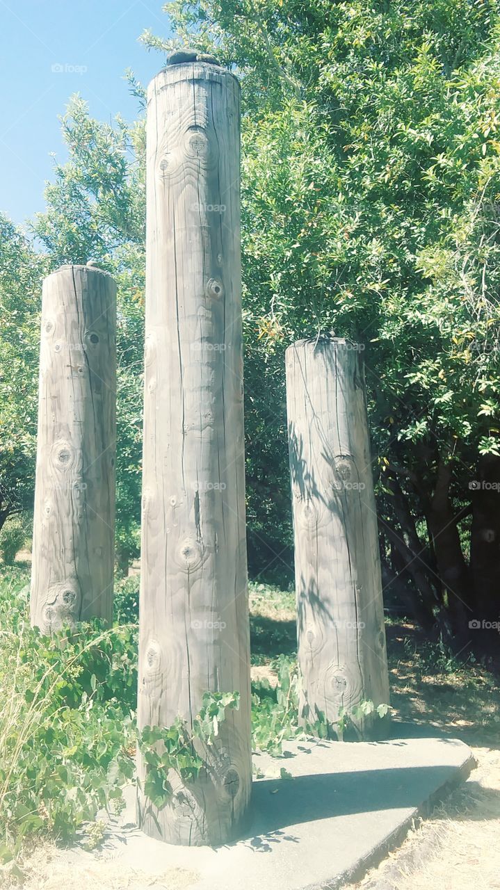 Three Poles