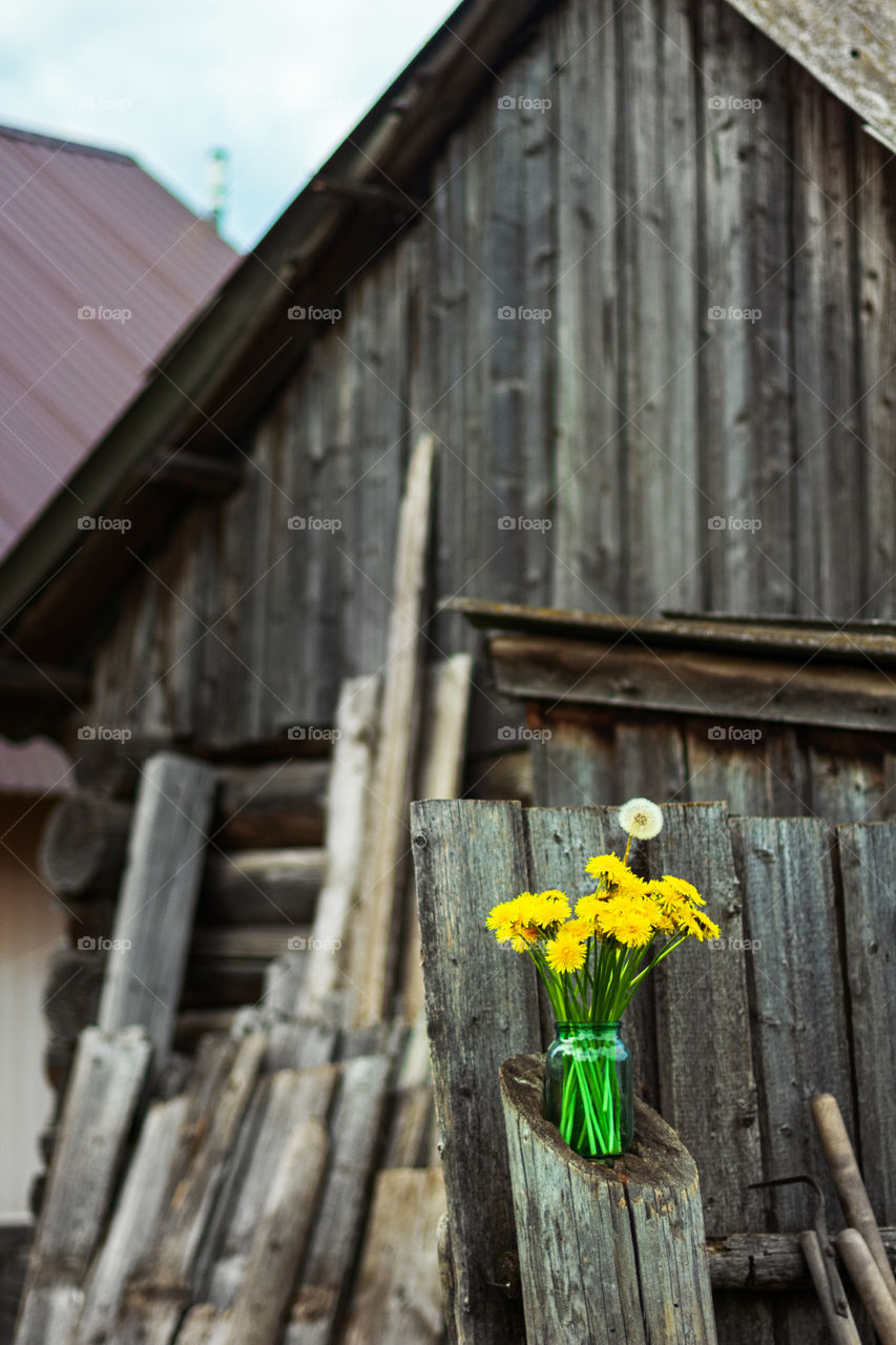 Dandelion Bouquet