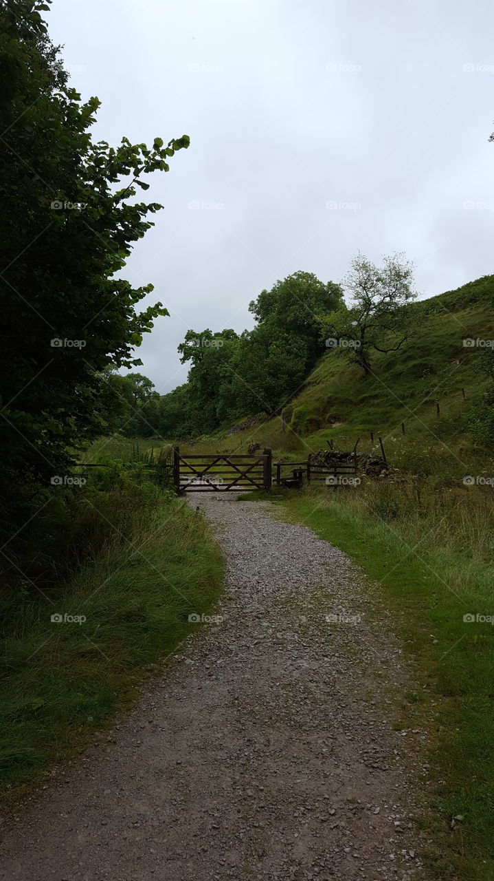 pathway on farm land