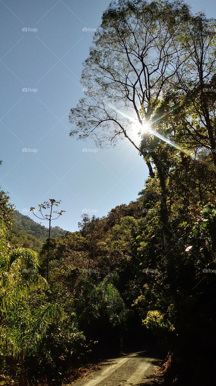 al'ashjar , alshams , alghabat , almanazir altabieiat , altabieat.