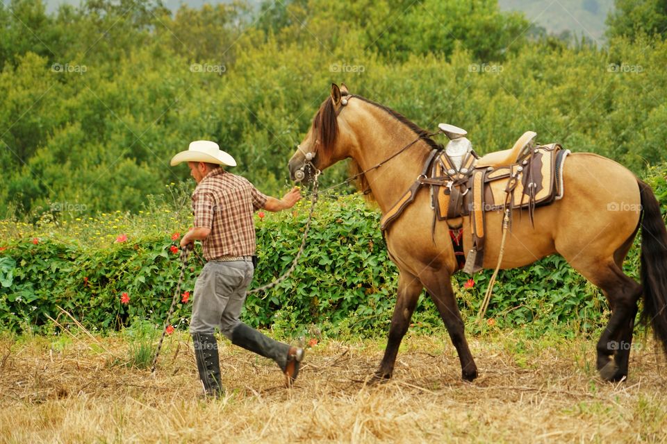 Cowboy Leading His Horse
