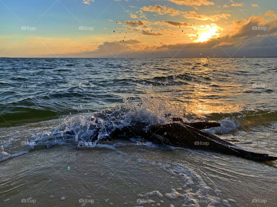 
The sun came out of its abode across the brilliant golden horizon and glimmered in the waves crashing into the driftwood log. 