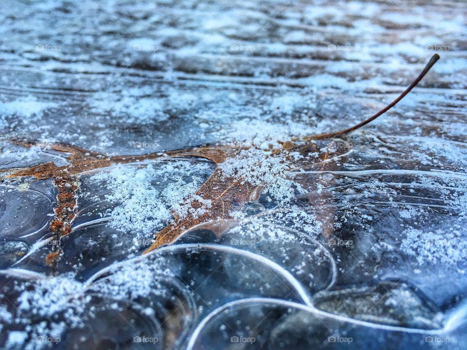 Icy leaf