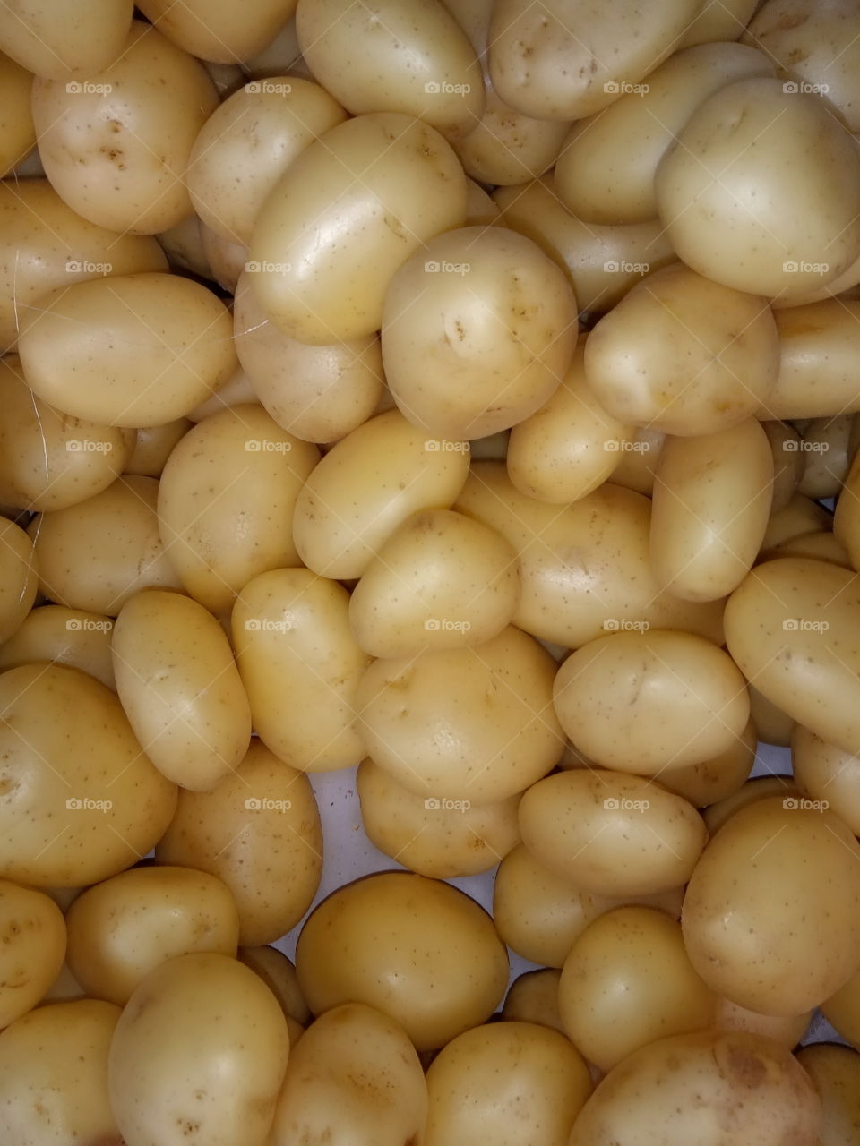 Batatas