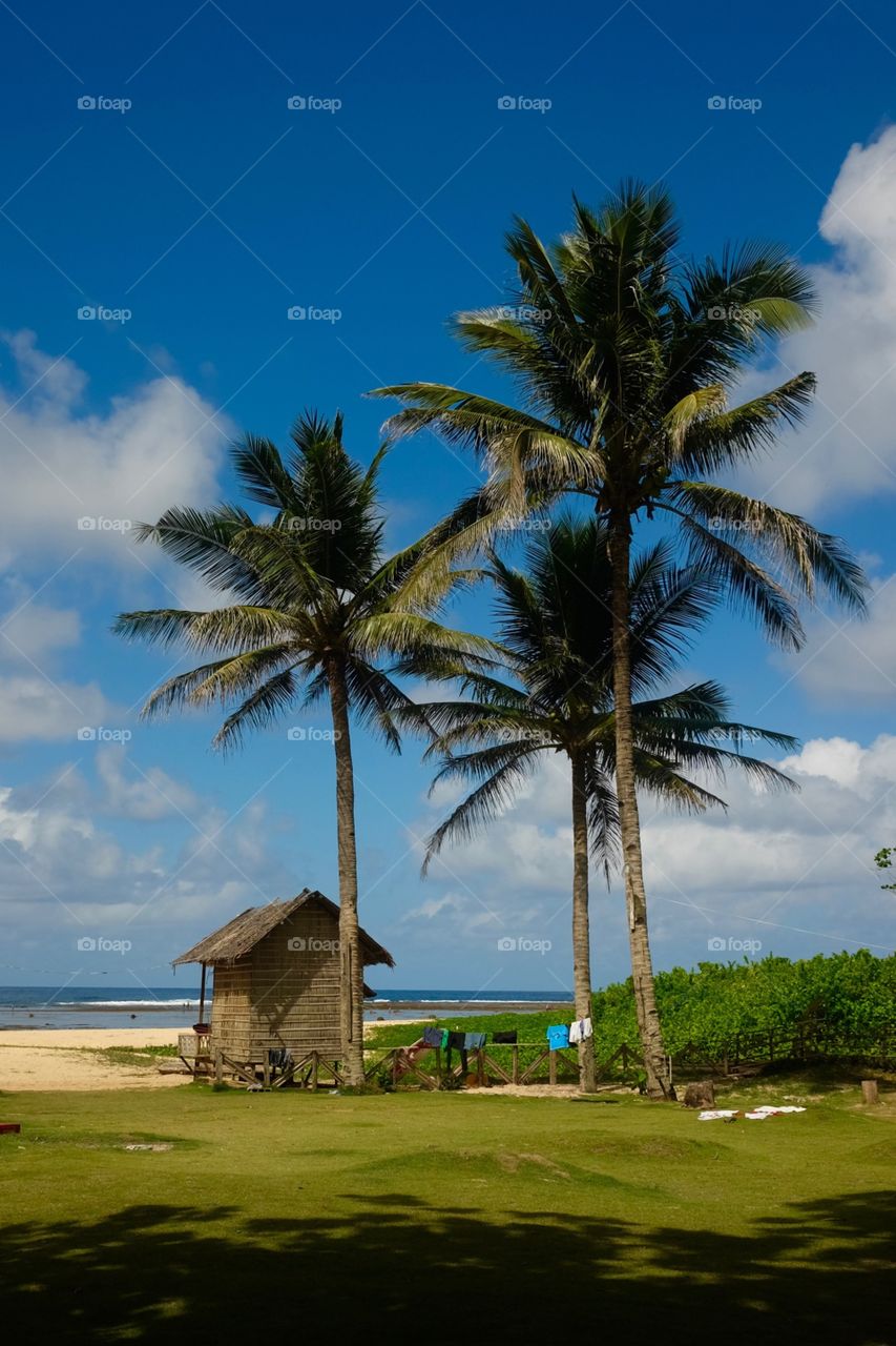 Island house on a beach in catanduanes, philippines