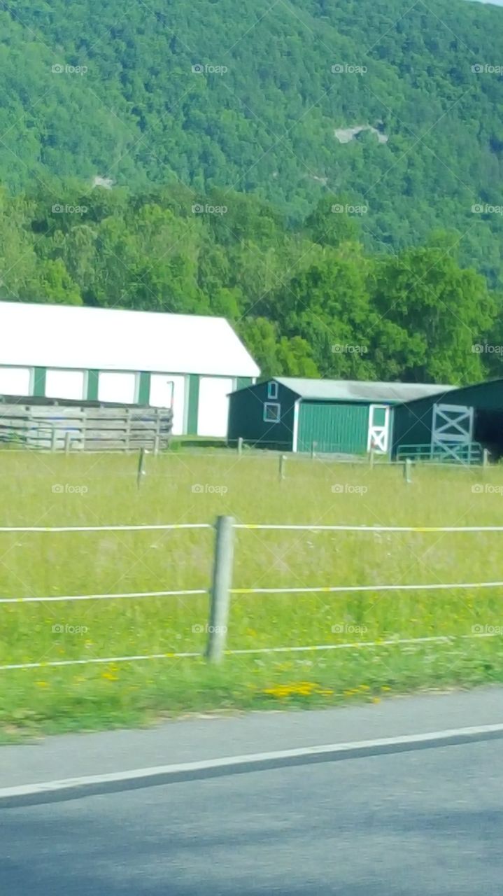 green barn