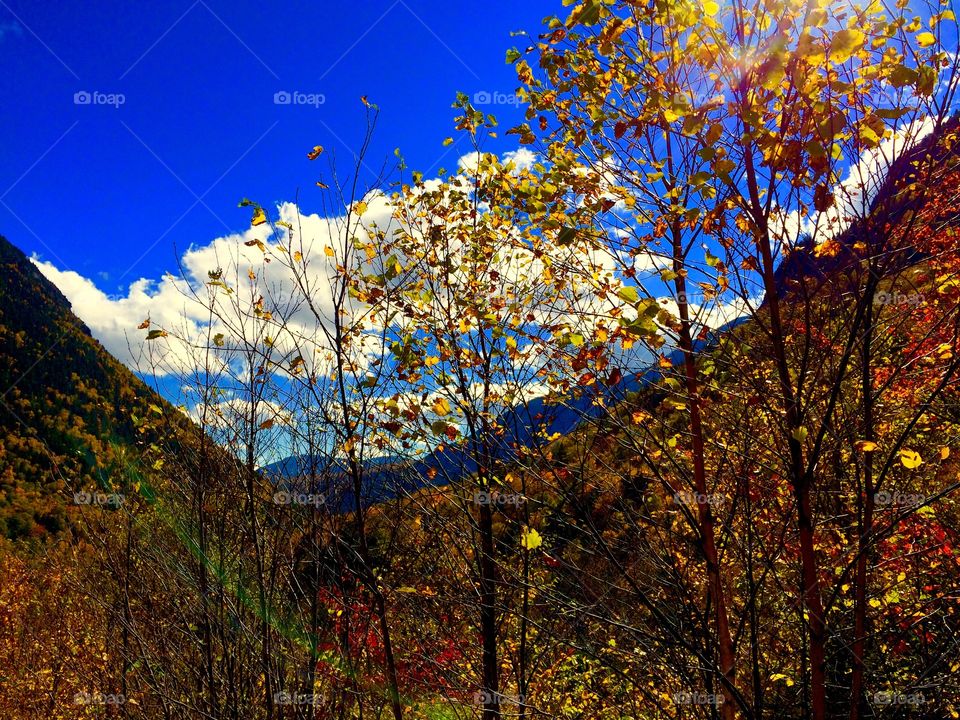 Crawford Notch, NH