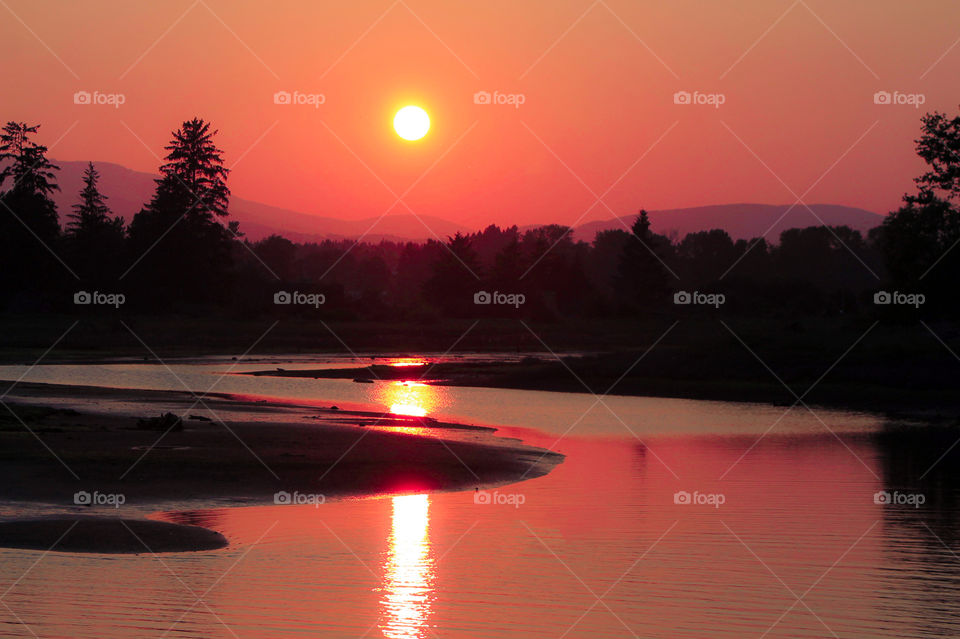 Many of my photos are taken in those magic hours between day & night. This shot was taken as the sun was setting behind the mountains. The golden sun shone through a slight haze in the sky & alit the world with amazing splendorous colour!