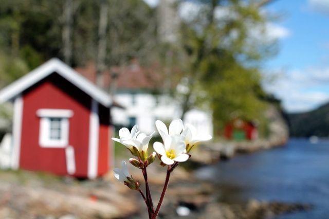 Old Svinesund at the norwegian border