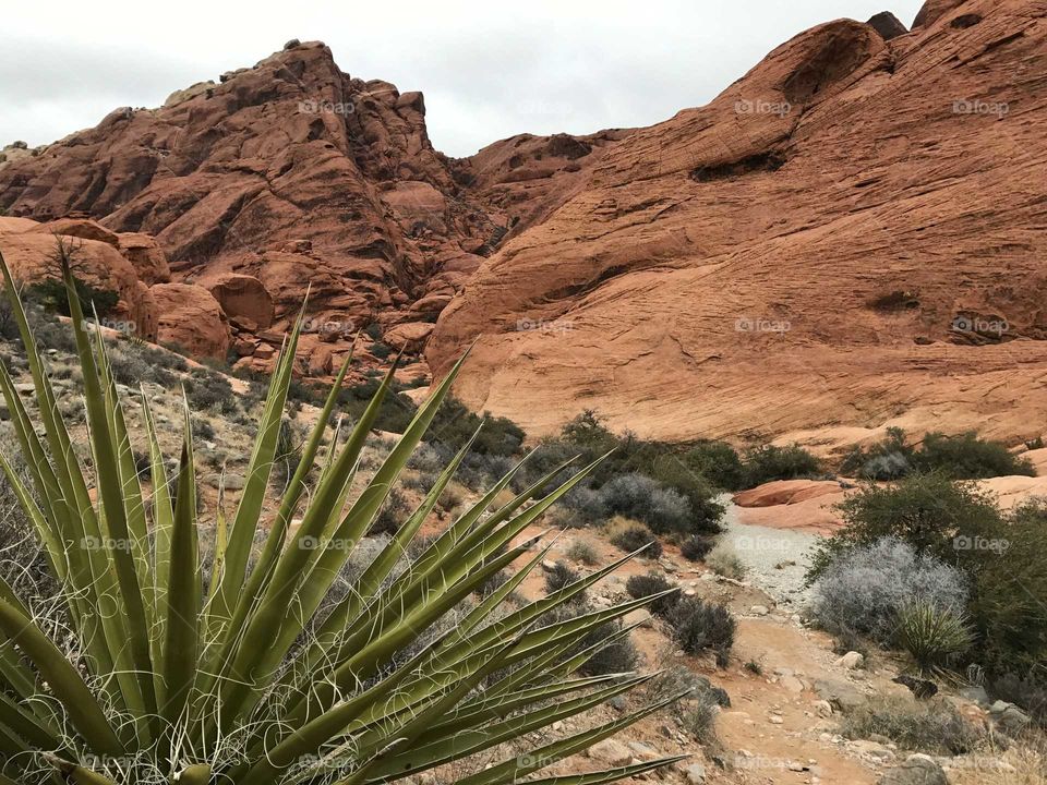 Red Rock