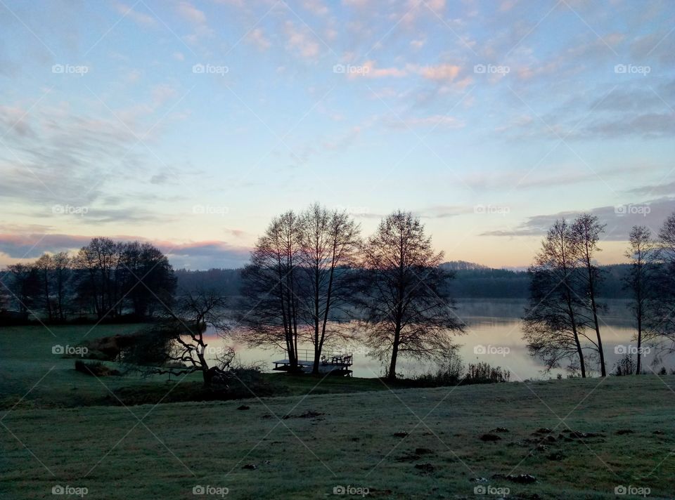 Landscape, Tree, Fall, Dawn, Nature