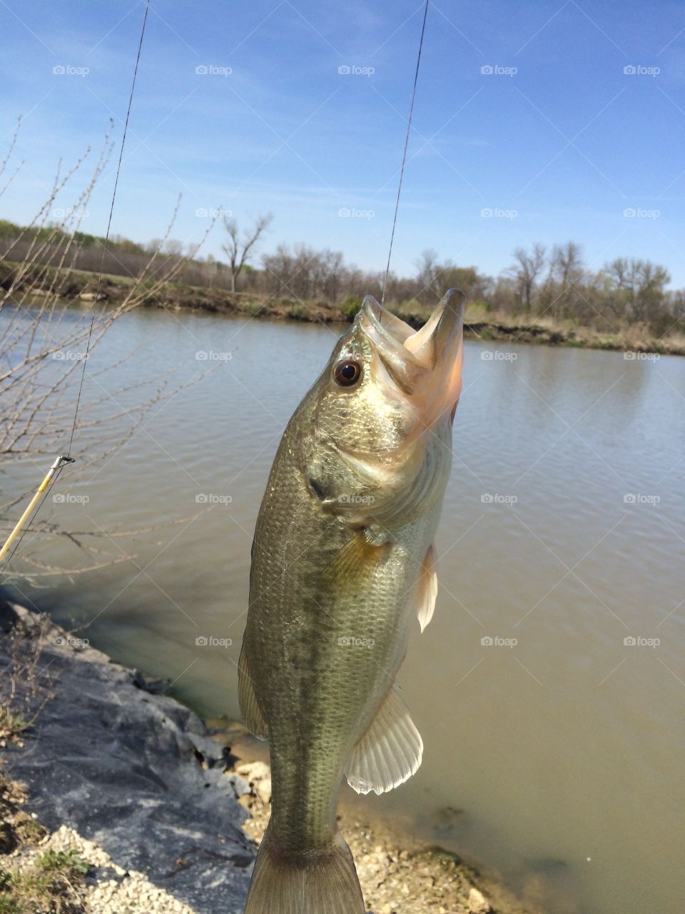Delicious bass? Probably, but released 