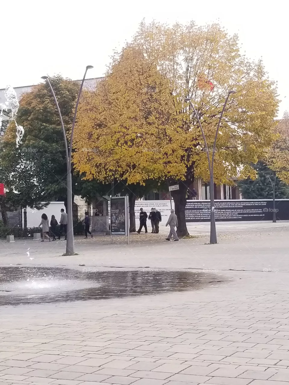 Autumn