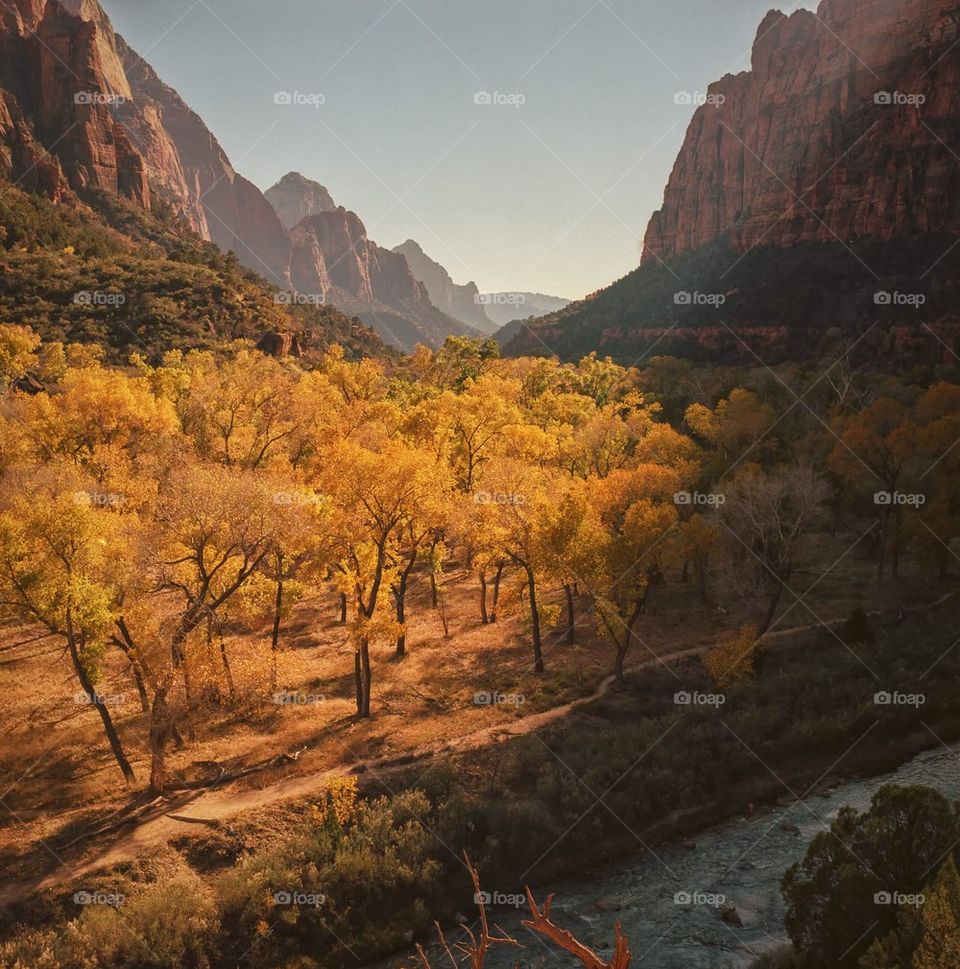 Canyon Evening