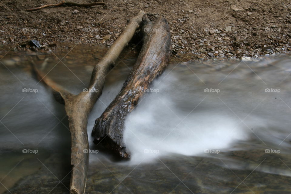 Water under the branches