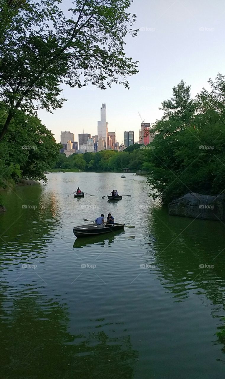 Row Boating in Central Park