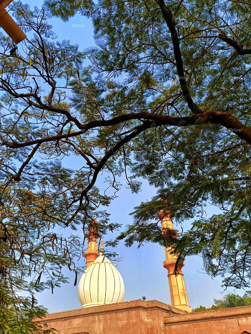 Wow, that building looks so grand and majestic! It's like something out of a fairytale with that beautiful dome on top.