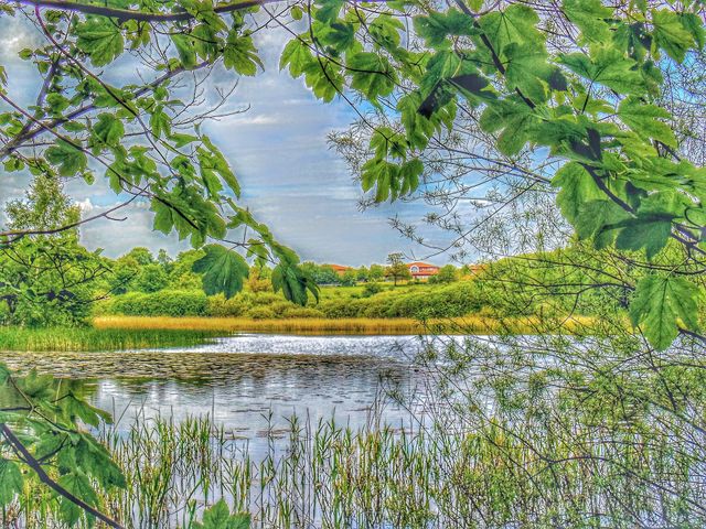 Scenic view from across the lake