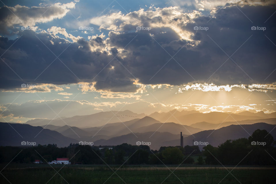 Birds migrating south for winter, silhouetted power forced into nature.