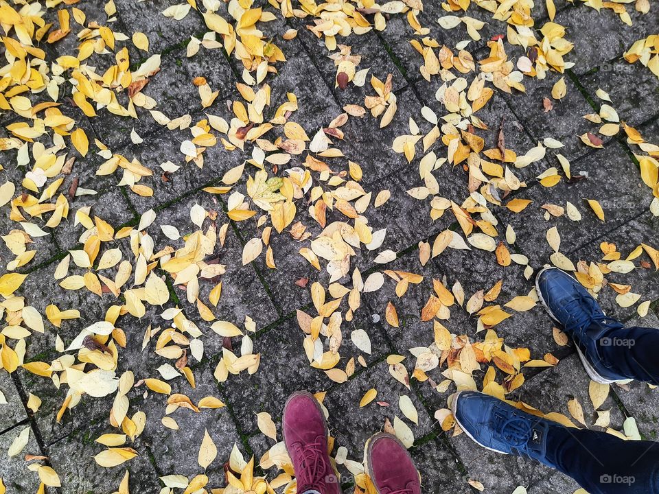 Autumn is coming... 🍂🍁