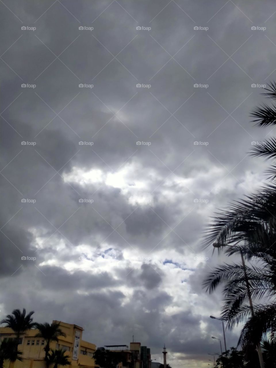 Winter in Egypt is one of the best days of the year