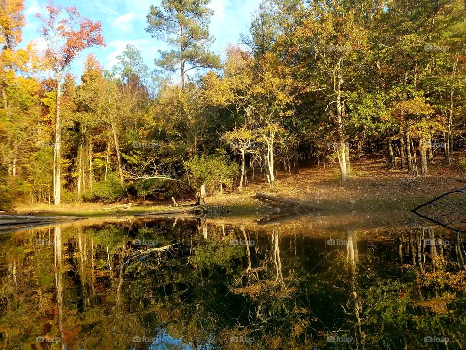 afternoon sun on lake