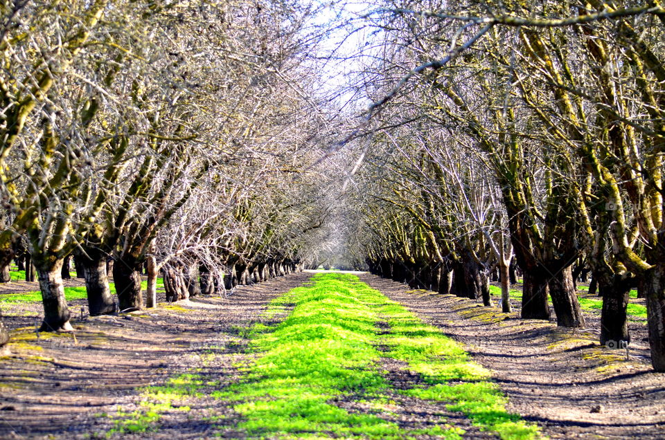 Looking forward to spring