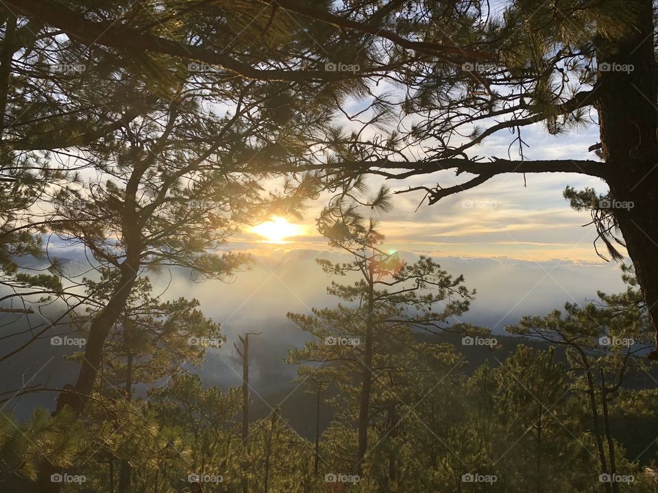 Sunrise on foggy mountain