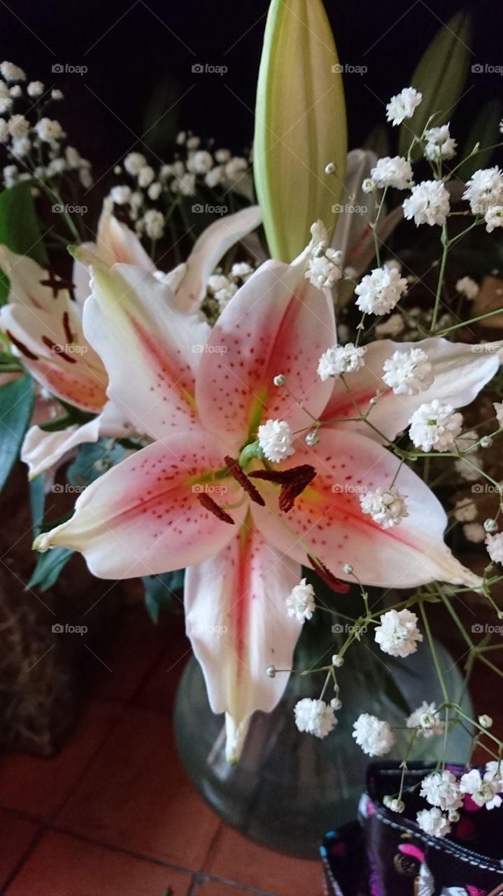 Gorgeous lillies