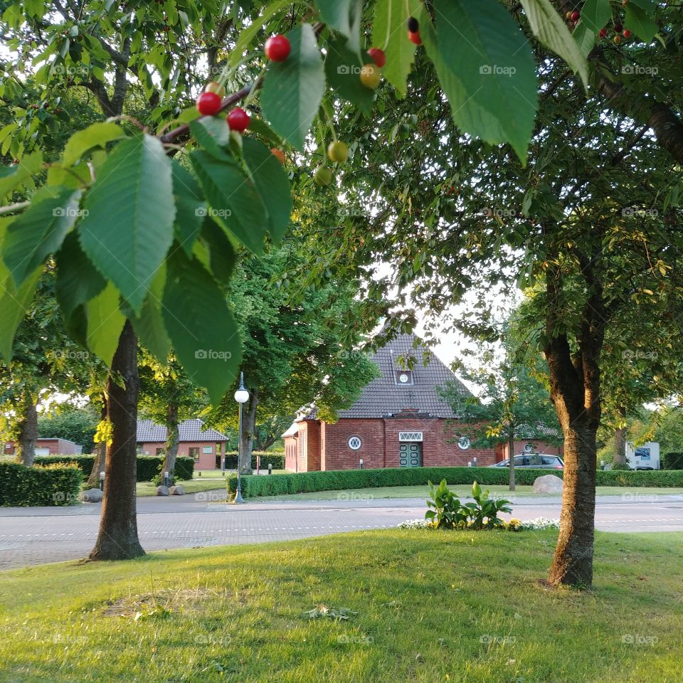 Park Kirsche Kirche