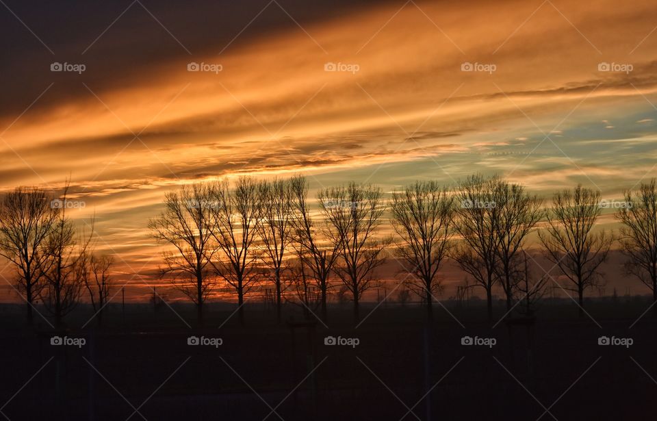 Gold sunset in the fields somewhere in poland