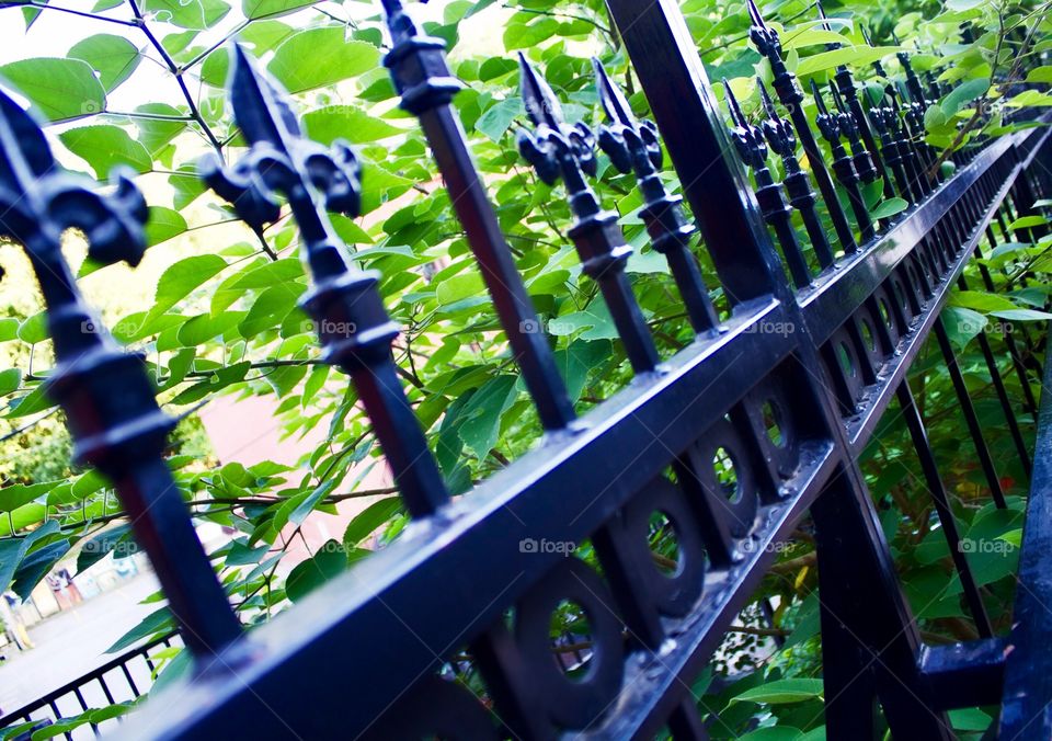 Wrought iron fence