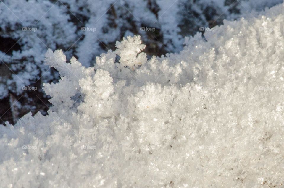 Frosty Marvels:Nature's Ice Artistry