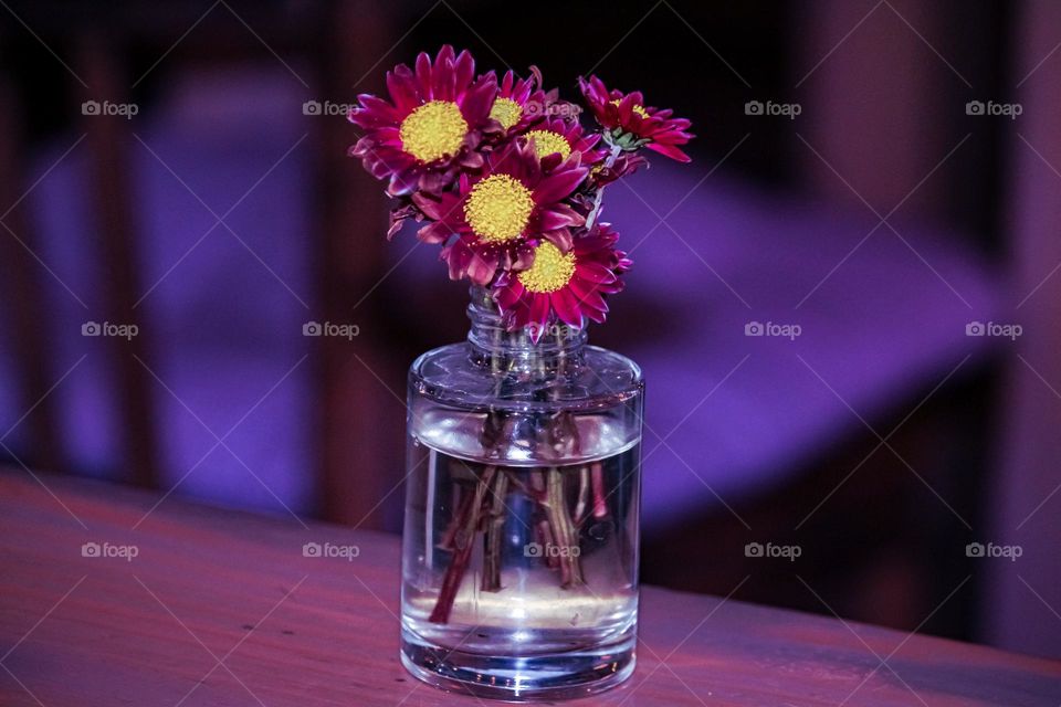 A flower in a vase