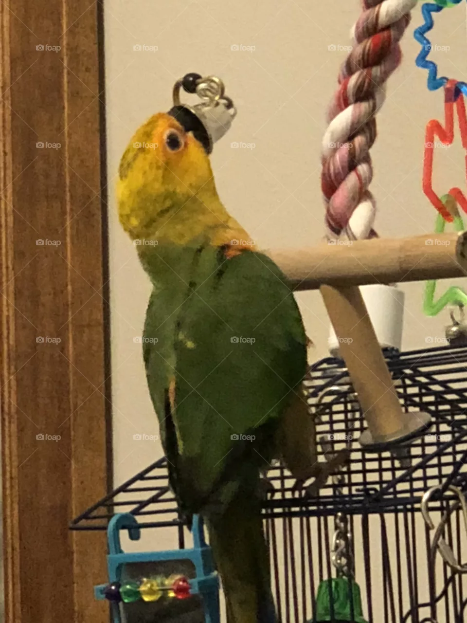 Love my Max